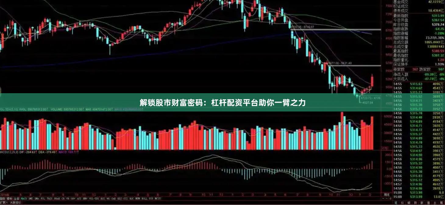 解锁股市财富密码：杠杆配资平台助你一臂之力